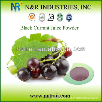 blackcurrant juice powder water soluble